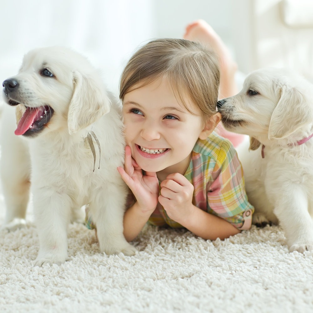 Safeguarding children around dogs course, online training.